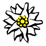 -logo.png